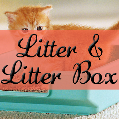 Litter & Litter Box