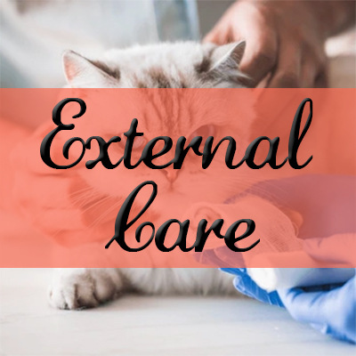 External Care