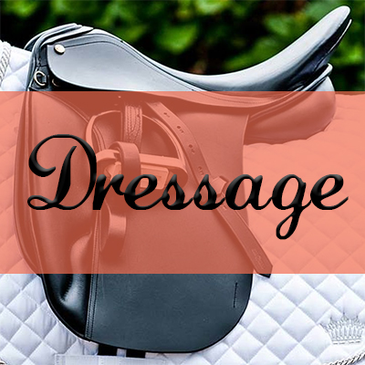Dressage Saddles