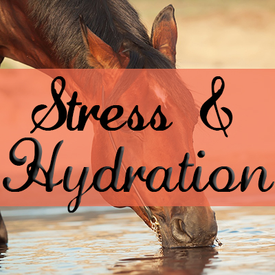 Stress & Hydration