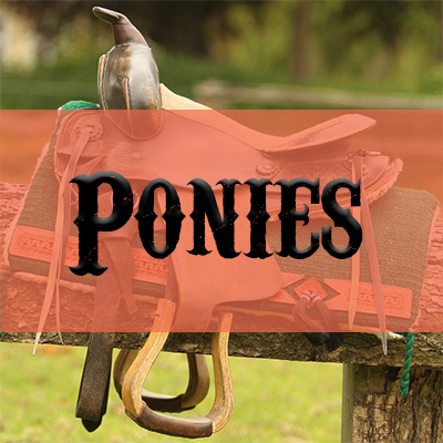 Pony Saddle Pad