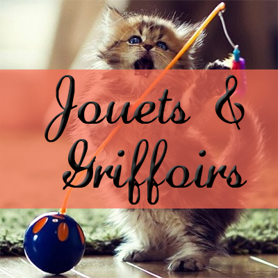 Jouets & Griffoirs