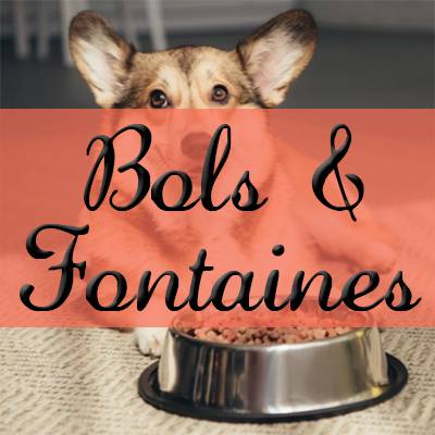 Bols & Fontaines