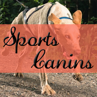 Sports Canins