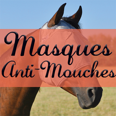 Masques Anti-Mouches