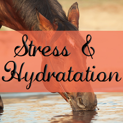 Stress & Hydratation
