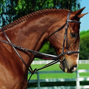 Imperial Martingale Reins Set