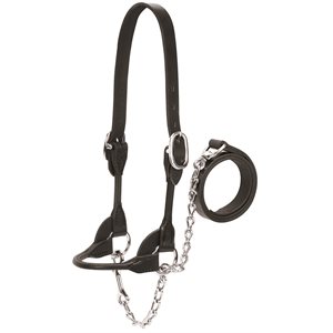 Weaver Dairy / Beef Rounded Show Halter - Black