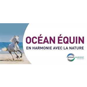 Lozana Ocean Equine 