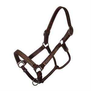 Professional's Choice leather halter - Chocolate confection