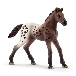 Schleich Figurine - Appaloosa Foal