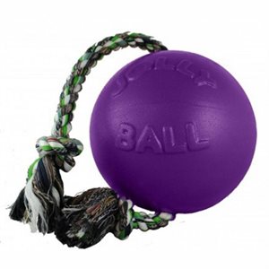 Jolly Ball ''Romp N Roll'' on rope - 8'' Purple
