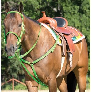Headstall, Reins, Breast Strap and Nose Band Set - Lime