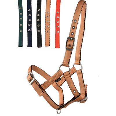 Country Legend Adjustable Cushion Web Foal Halter