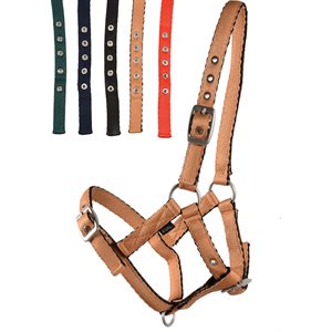 Country Legend Adjustable Cushion Web Foal Halter