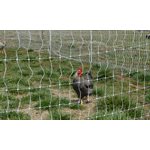 Gallagher Electrifiable Poultry Netting 