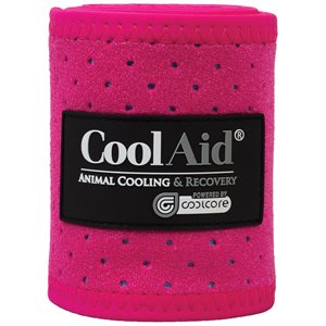 Bandages Polo Refroidissant Weaver CoolAid - Rose