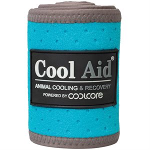 Bandages Polo Refroidissant Weaver CoolAid - Turquoise