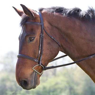 Camelot Plain Raised Bridle with Reins - Brown
