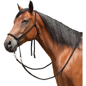 Mustang Bitless Bridle with Reins