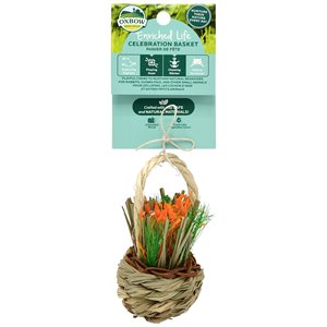 Oxbow Enriched Life Celebration Basket Small Animal Chew Toy
