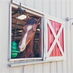 KONG Equine Hanging Kit with Treat Ring
