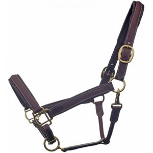 Bromont Raised and Padded Leather Halter - Black