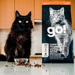 Go! Solutions Carnivore Grain-Free Lamb and Boar Dry Cat Food