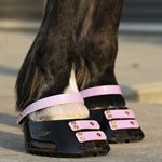 Scoot Boot Pastern Straps - Blossom